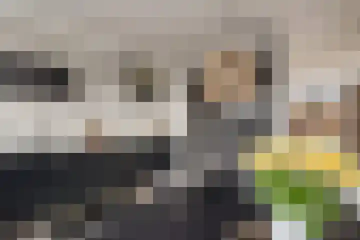 Laan van het Kwekebos 291 Emmen thumbnail 8