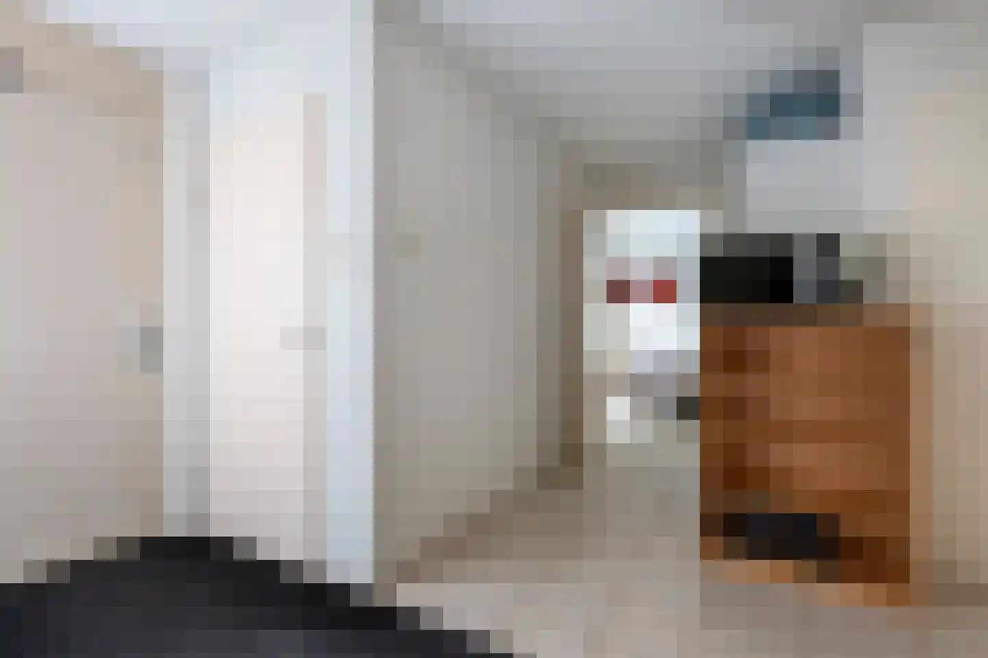 Laan van het Kwekebos 334 Emmen thumbnail 12
