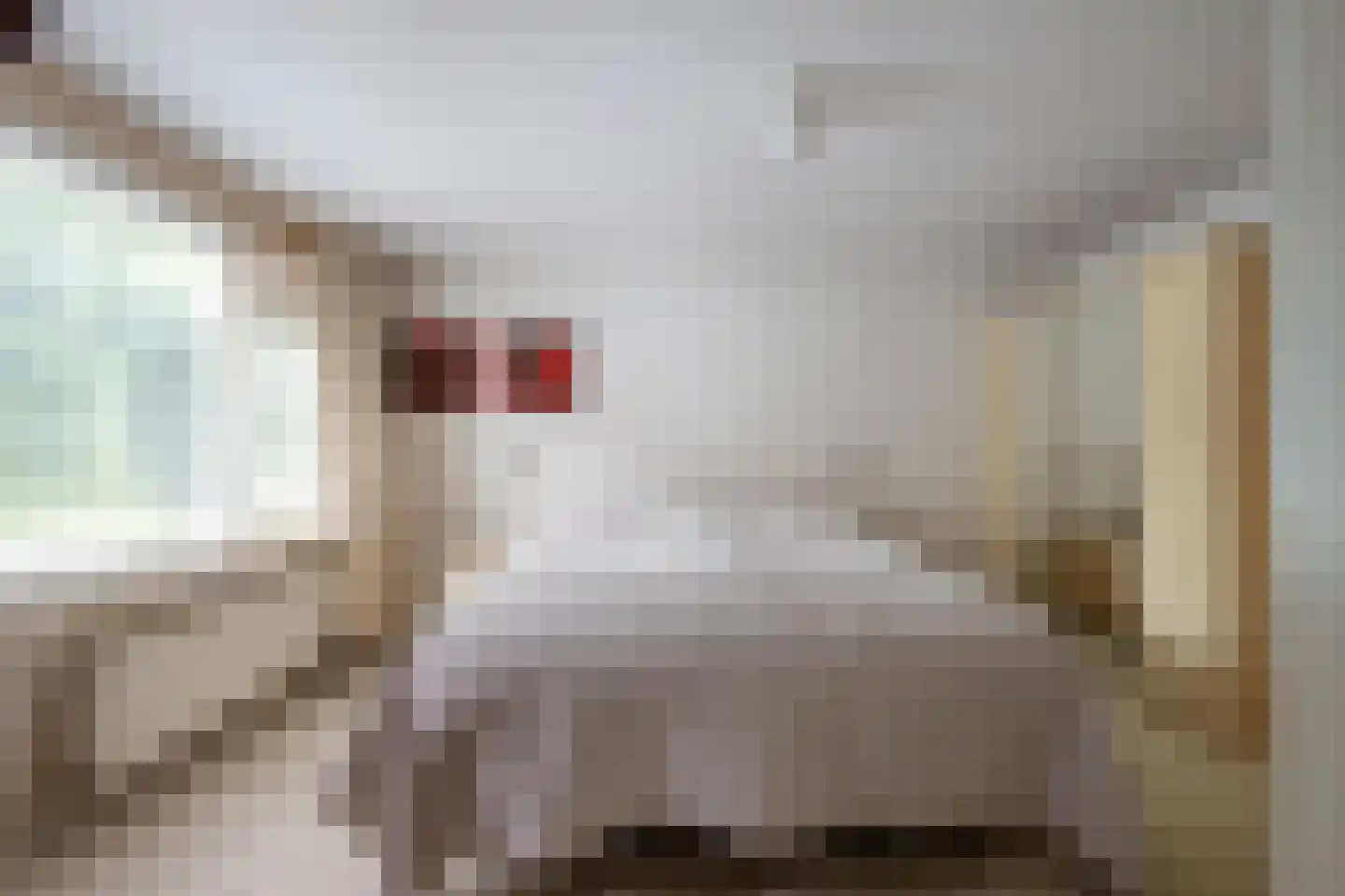 Laan van het Kwekebos 334 Emmen thumbnail 13