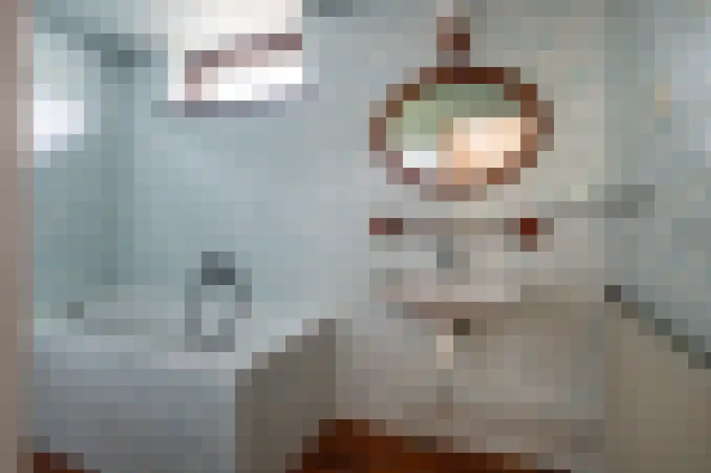 Laan van het Kwekebos 334 Emmen thumbnail 22