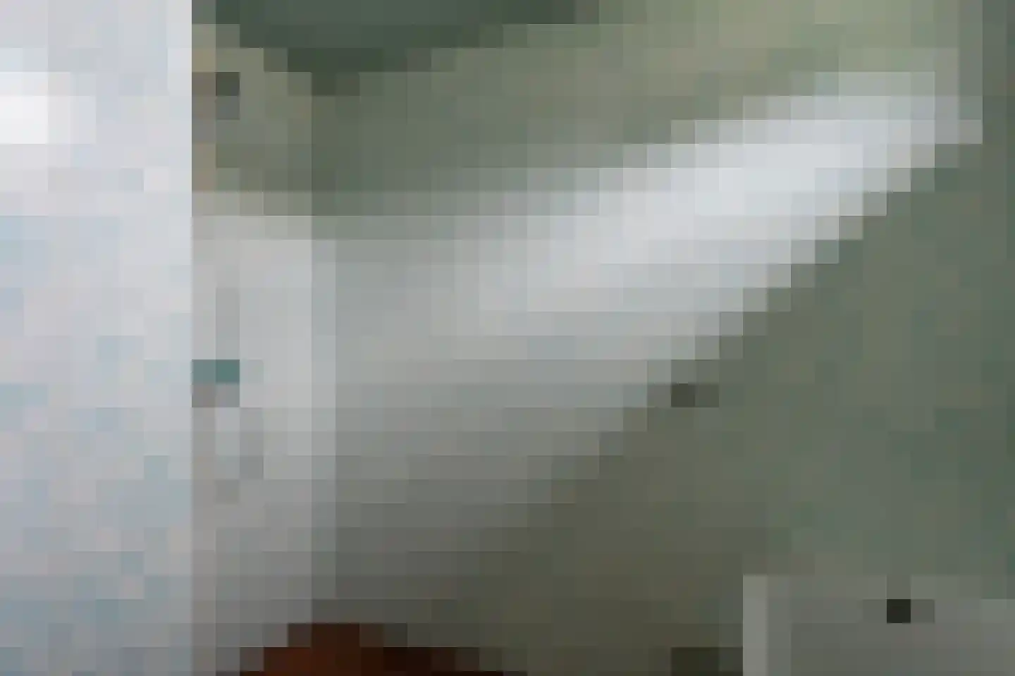 Laan van het Kwekebos 334 Emmen thumbnail 23