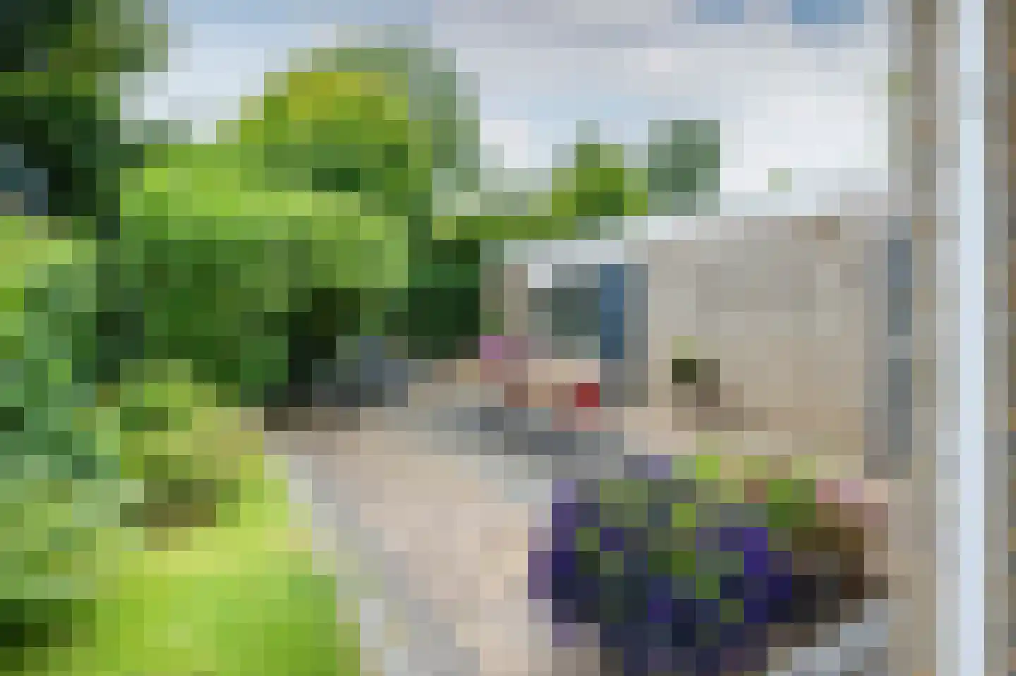 Laan van het Kwekebos 334 Emmen thumbnail 24