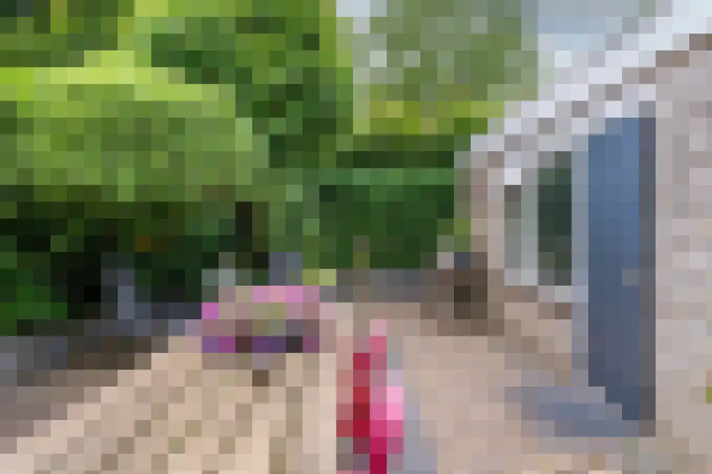 Laan van het Kwekebos 334 Emmen thumbnail 25