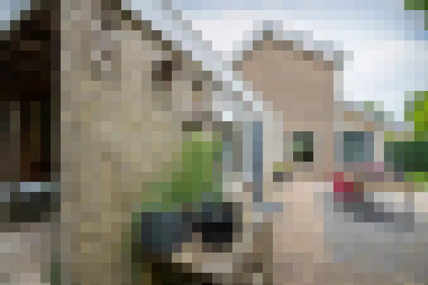 Laan van het Kwekebos 334 Emmen thumbnail 27