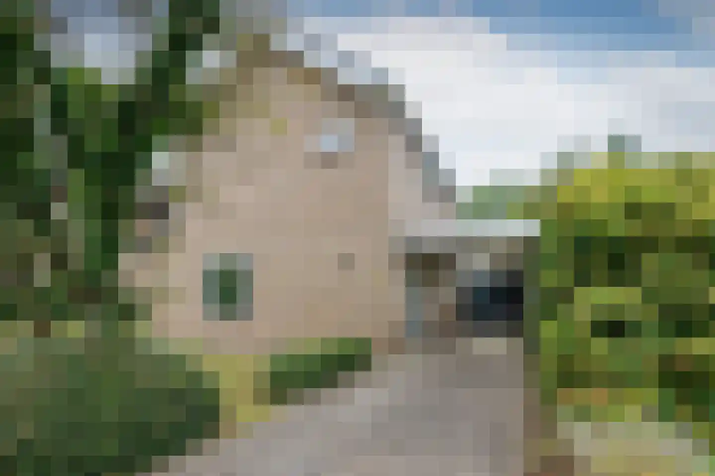 Laan van het Kwekebos 334 Emmen thumbnail 29