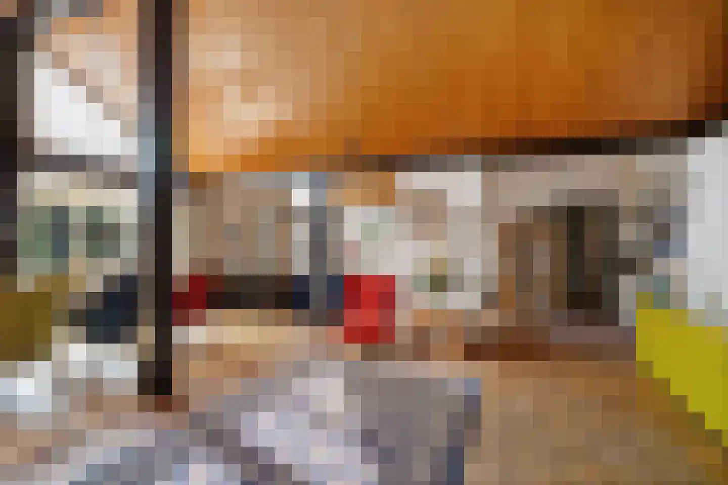 Laan van het Kwekebos 356 Emmen thumbnail 15