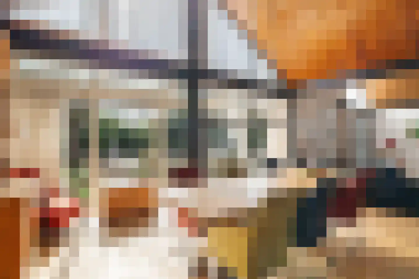 Laan van het Kwekebos 356 Emmen thumbnail 17
