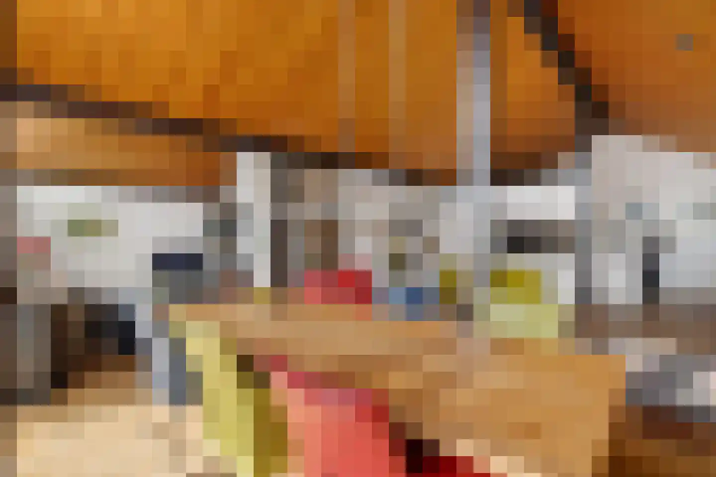 Laan van het Kwekebos 356 Emmen thumbnail 18