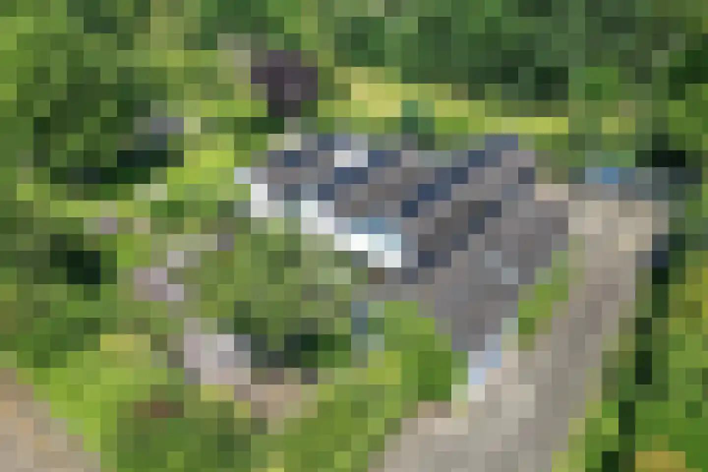 Laan van het Kwekebos 356 Emmen foto 2