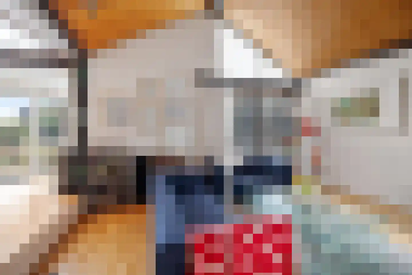 Laan van het Kwekebos 356 Emmen thumbnail 22
