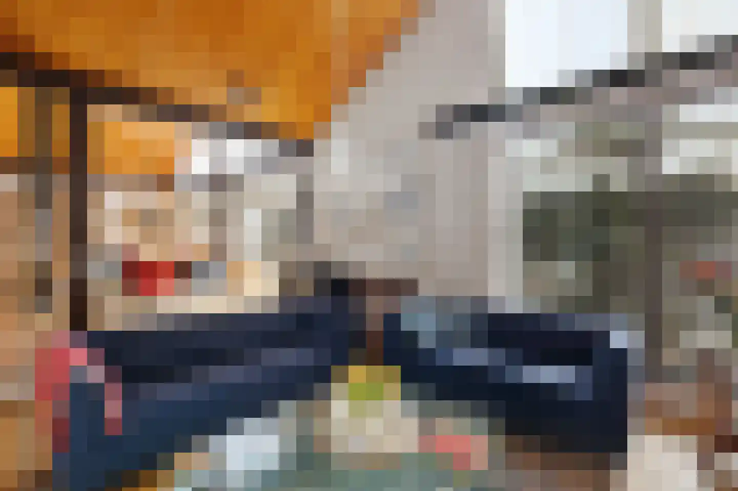 Laan van het Kwekebos 356 Emmen thumbnail 23