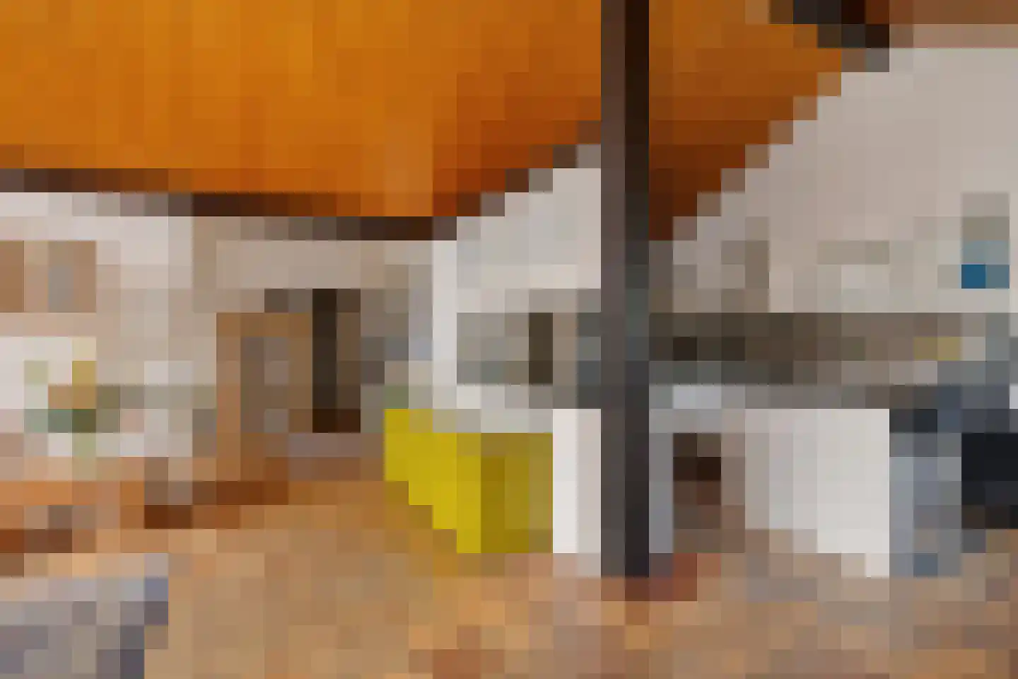 Laan van het Kwekebos 356 Emmen thumbnail 25