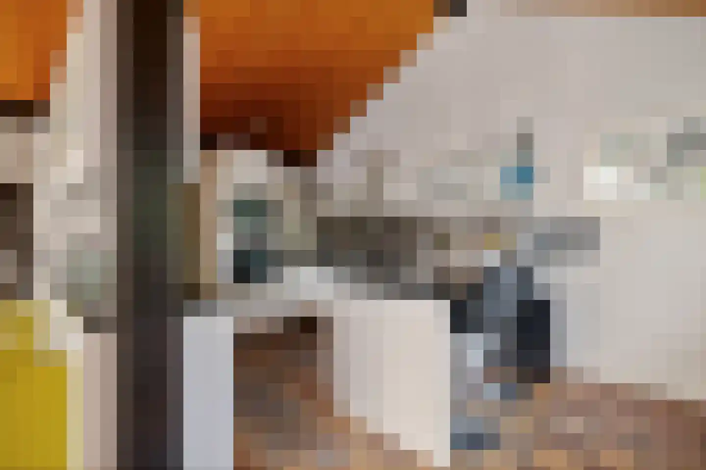 Laan van het Kwekebos 356 Emmen thumbnail 26
