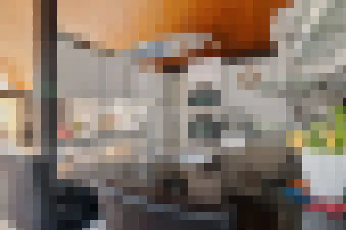 Laan van het Kwekebos 356 Emmen thumbnail 27