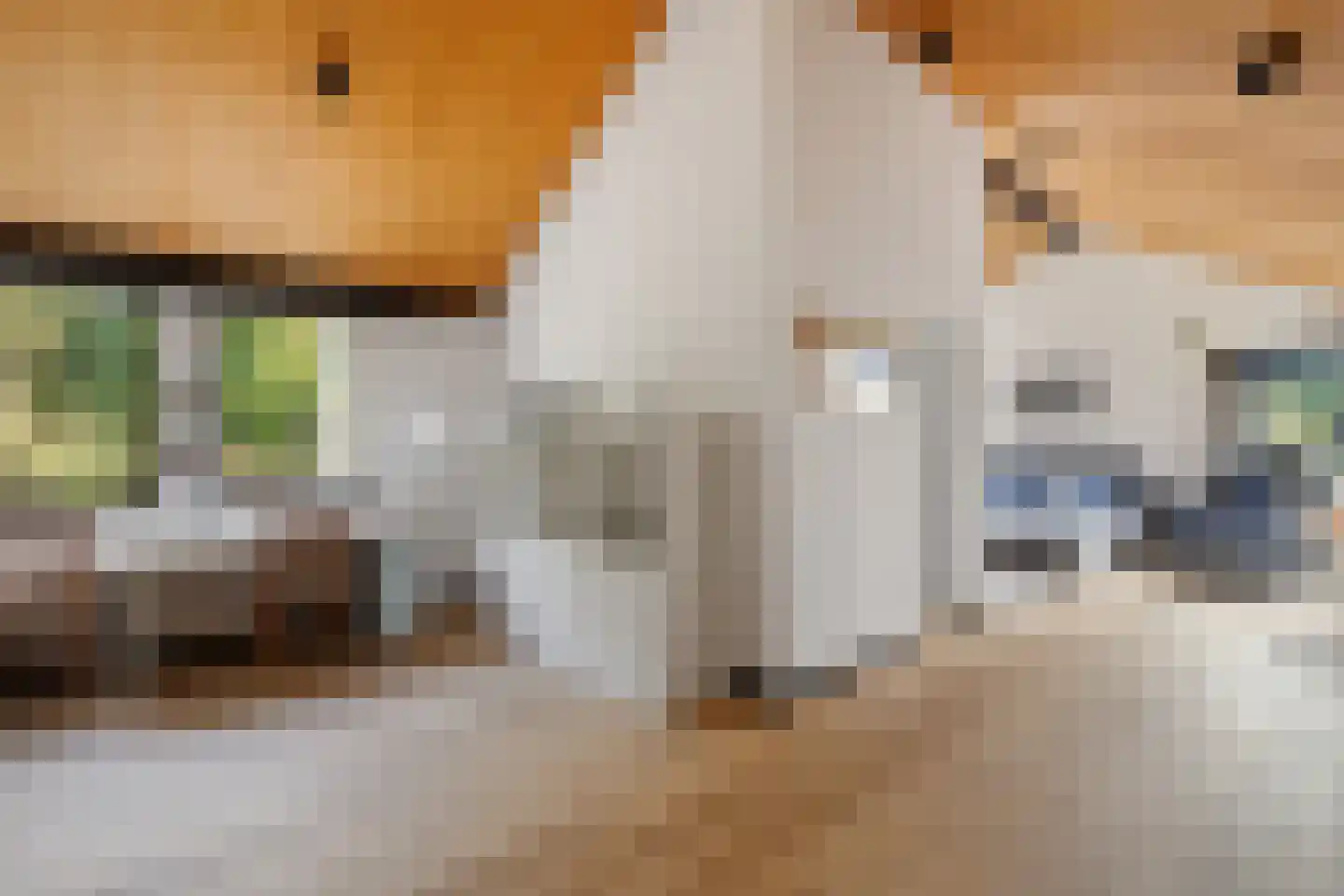 Laan van het Kwekebos 356 Emmen thumbnail 29