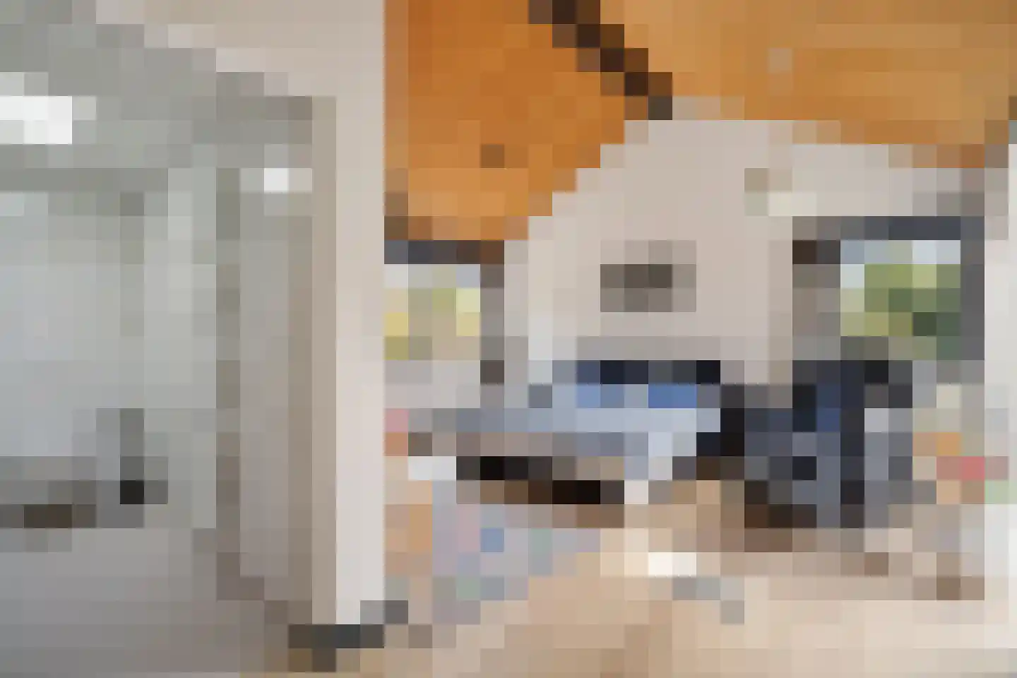 Laan van het Kwekebos 356 Emmen thumbnail 30
