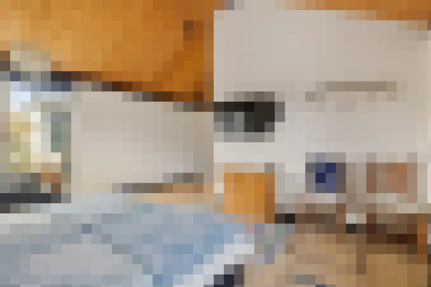 Laan van het Kwekebos 356 Emmen thumbnail 31
