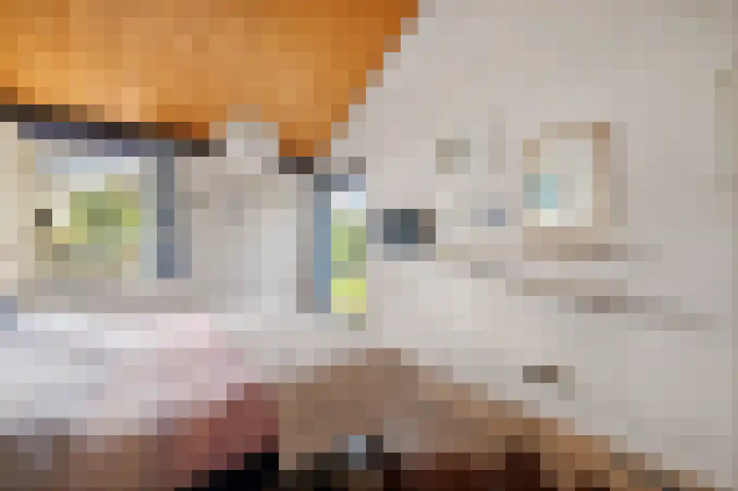 Laan van het Kwekebos 356 Emmen thumbnail 35