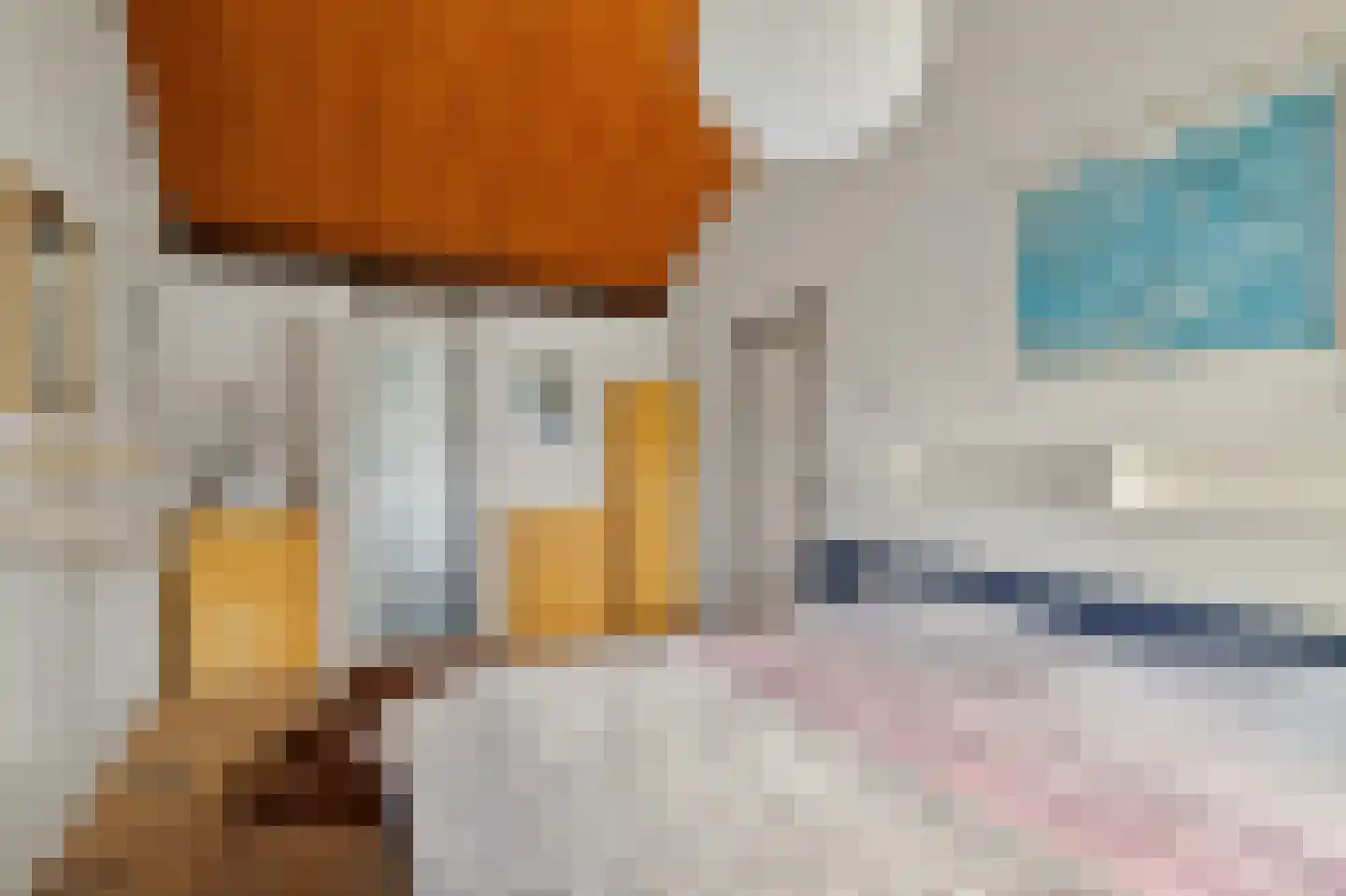 Laan van het Kwekebos 356 Emmen thumbnail 36