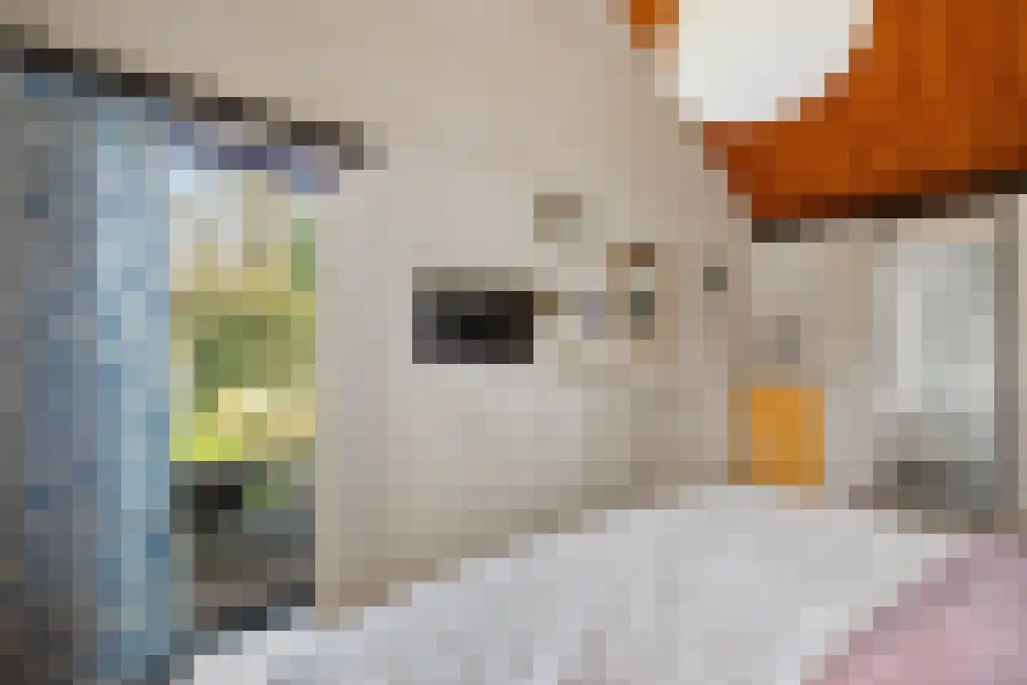 Laan van het Kwekebos 356 Emmen thumbnail 37