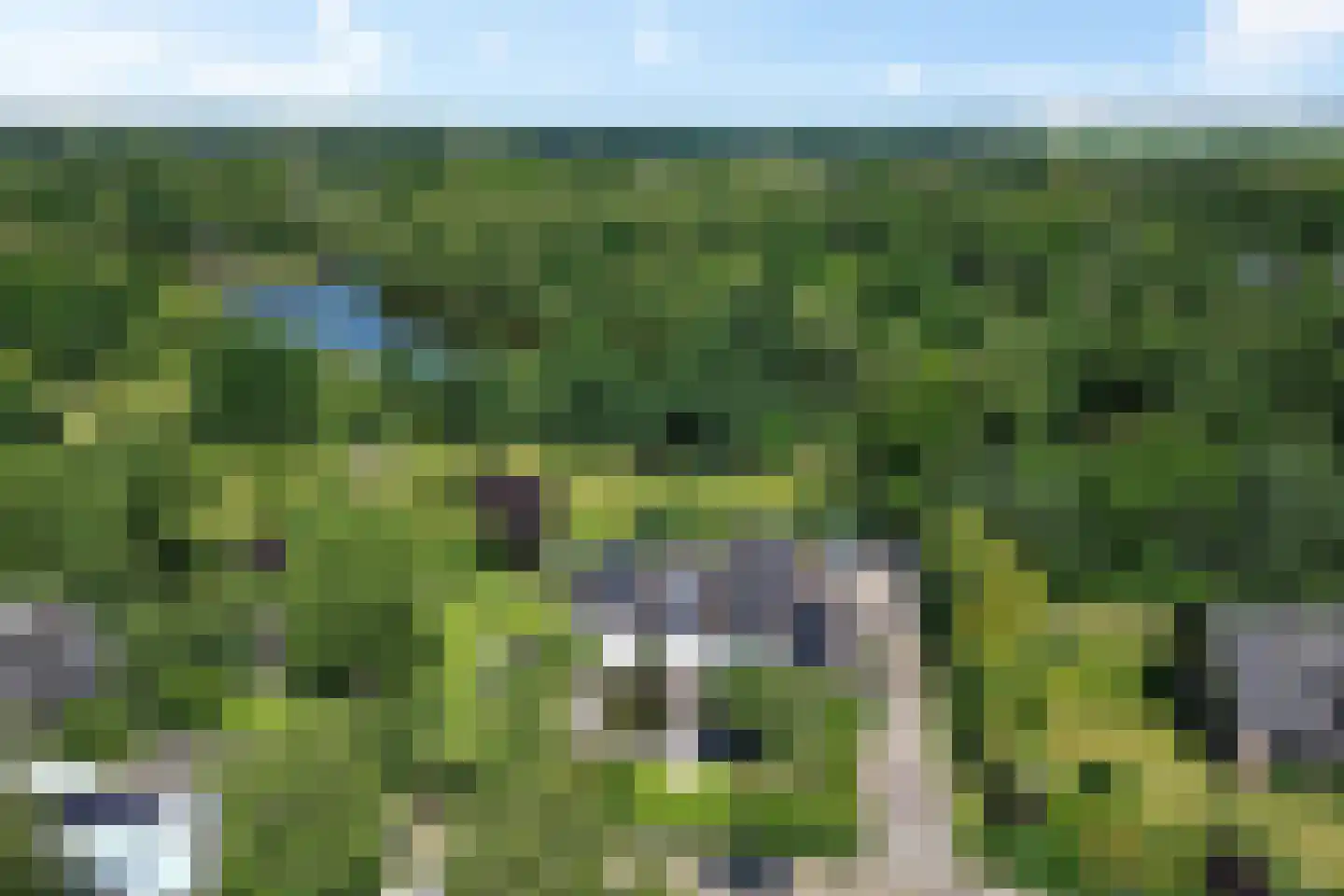 Laan van het Kwekebos 356 Emmen thumbnail 4