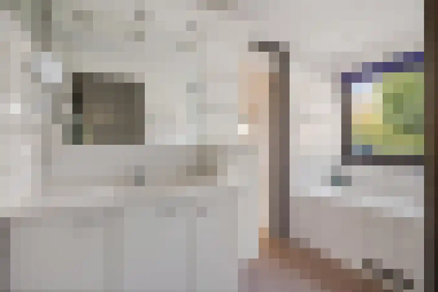 Laan van het Kwekebos 356 Emmen thumbnail 40