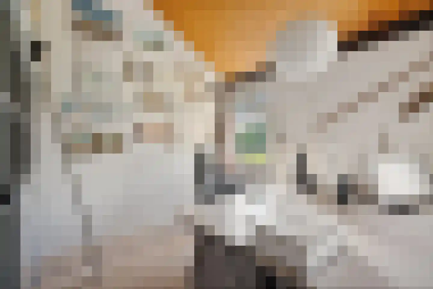 Laan van het Kwekebos 356 Emmen thumbnail 41