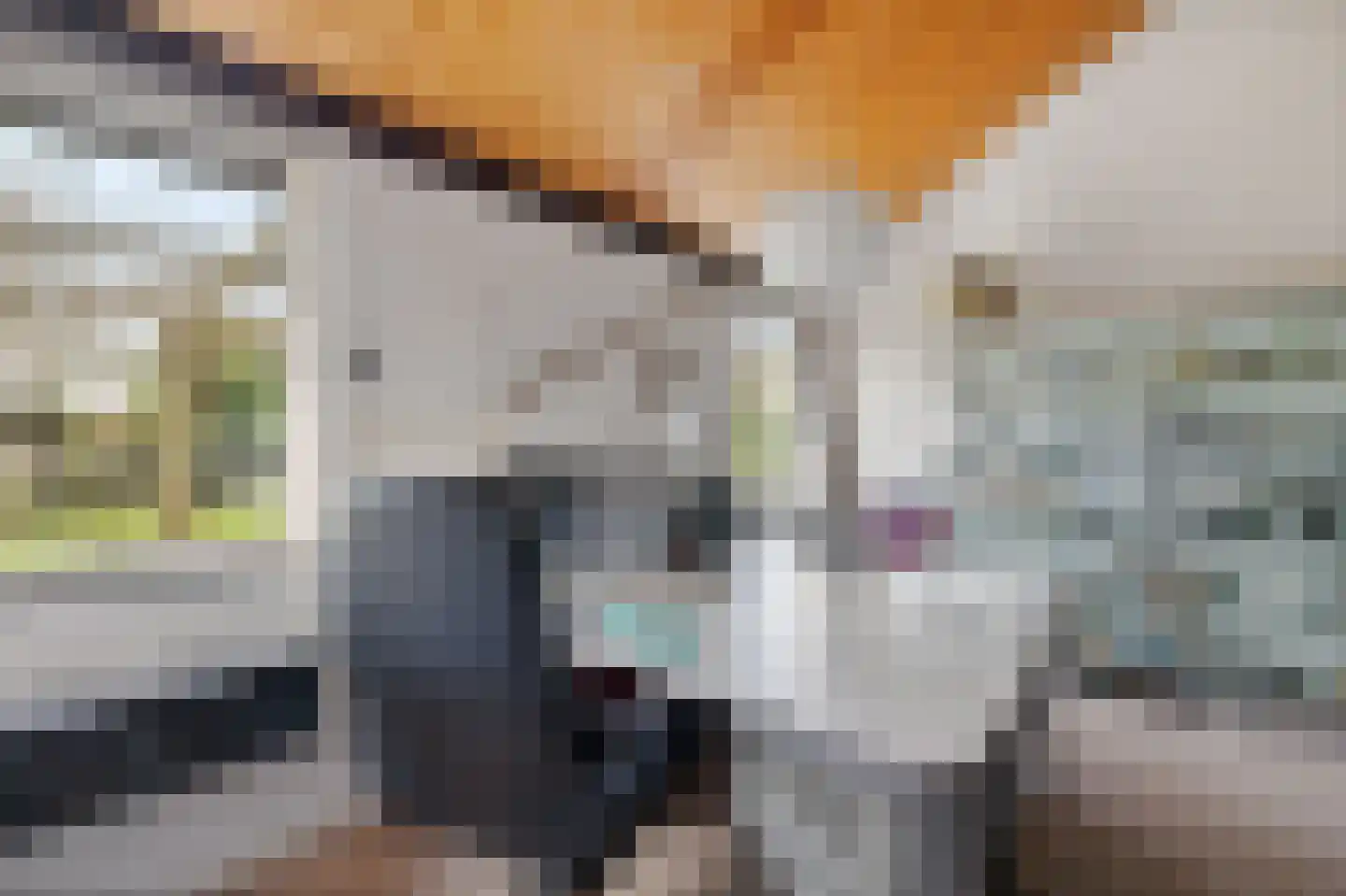 Laan van het Kwekebos 356 Emmen thumbnail 42