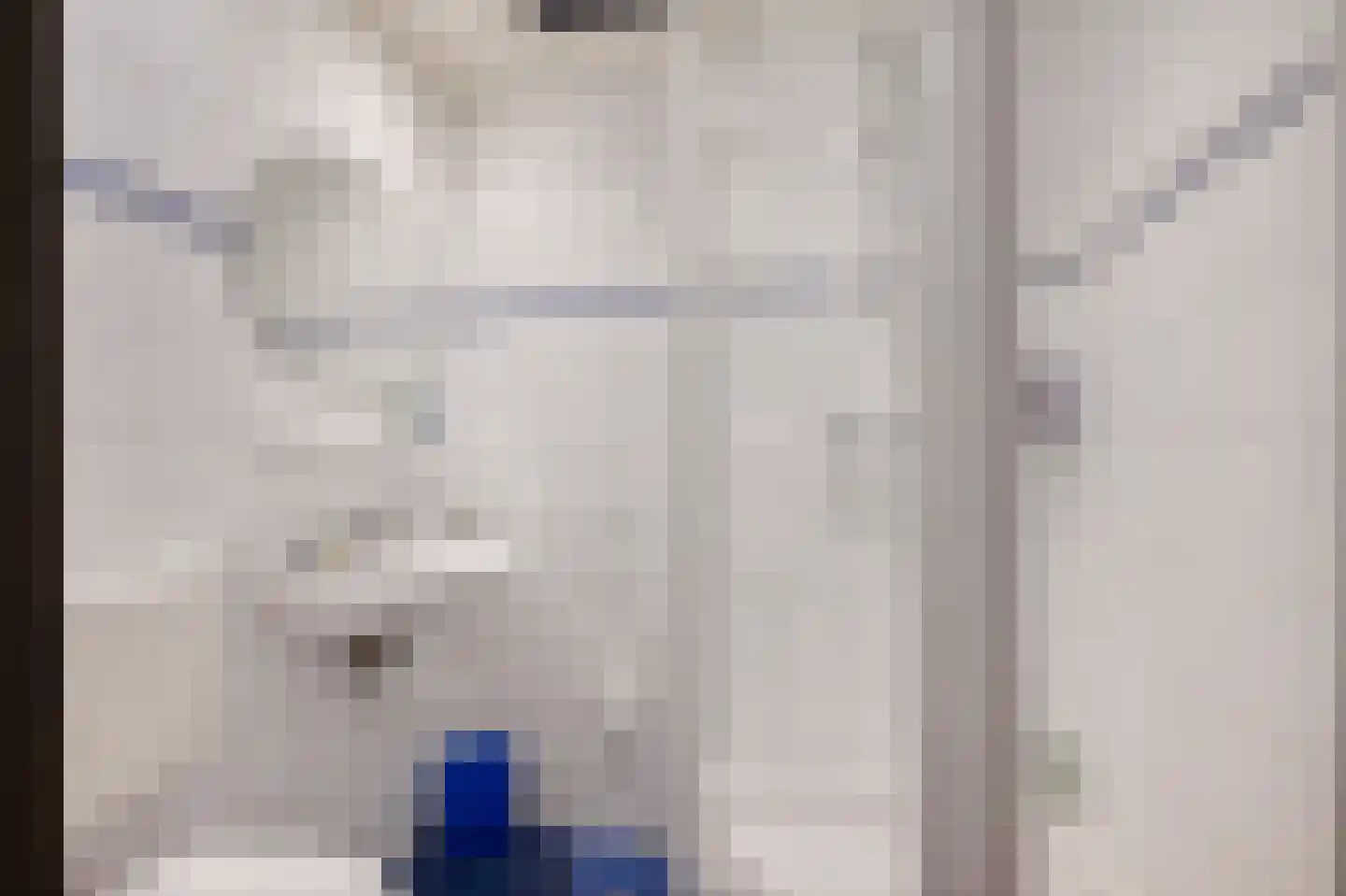 Laan van het Kwekebos 356 Emmen thumbnail 43