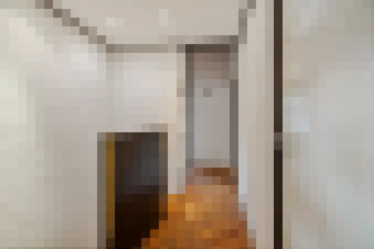 Laan van het Kwekebos 356 Emmen thumbnail 46