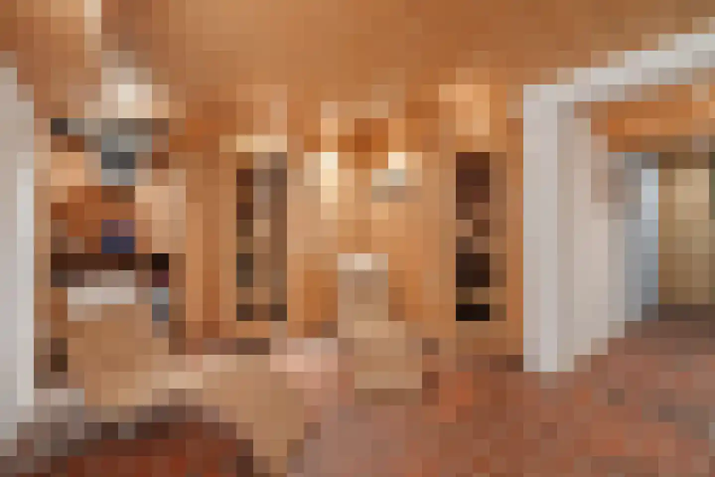 Laan van het Kwekebos 356 Emmen thumbnail 47