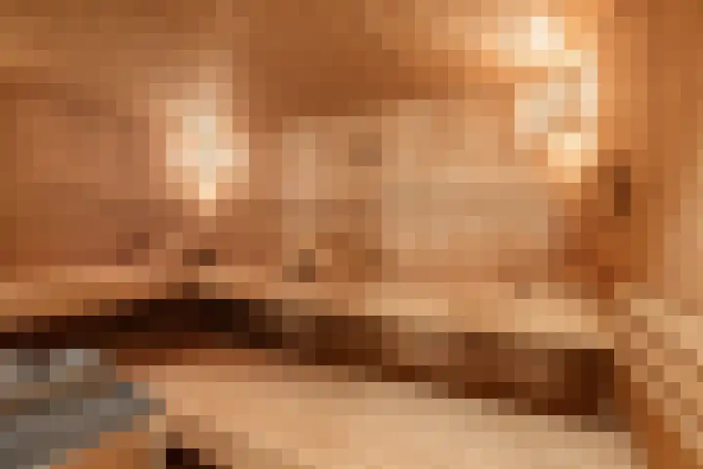 Laan van het Kwekebos 356 Emmen thumbnail 48