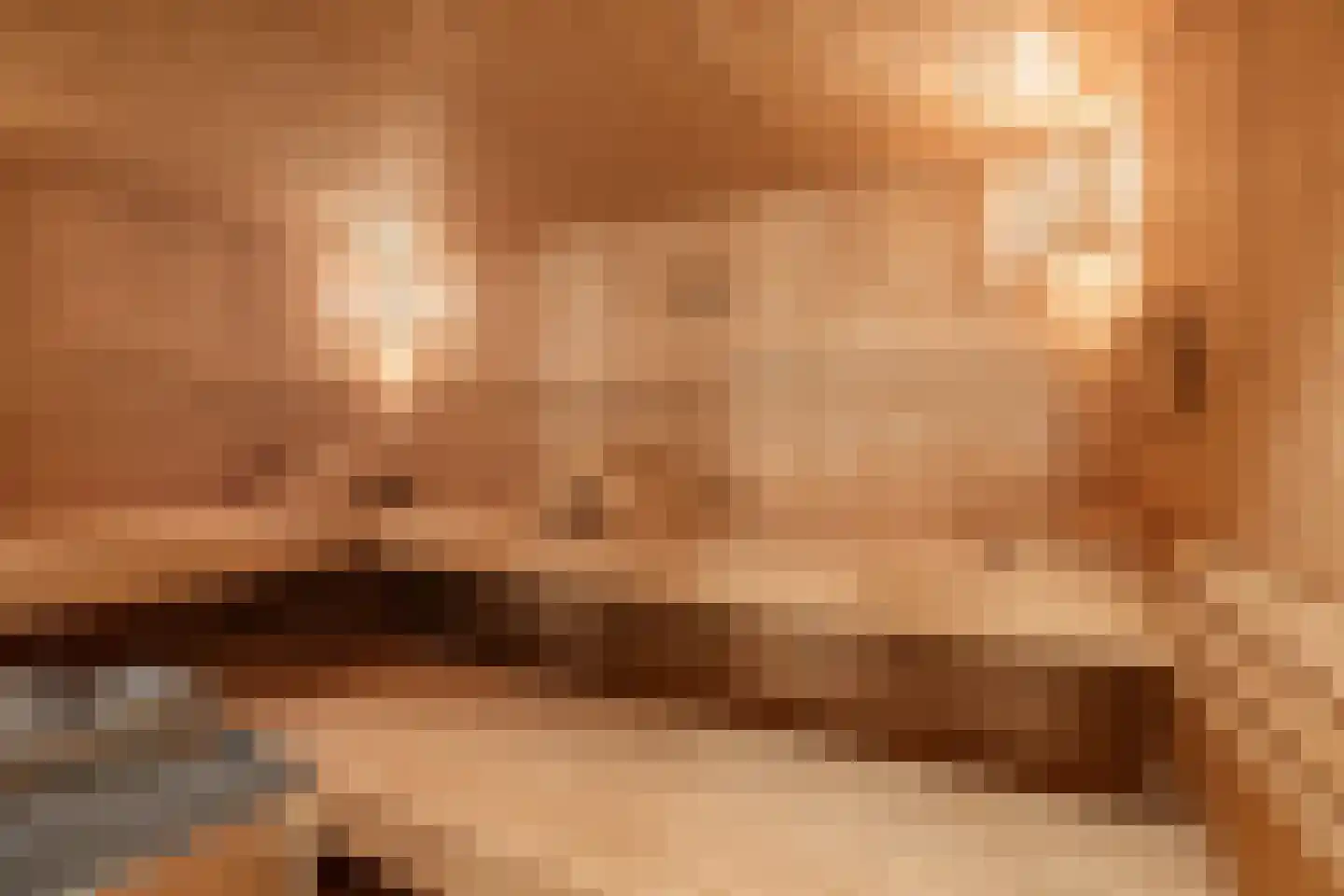 Laan van het Kwekebos 356 Emmen thumbnail 48