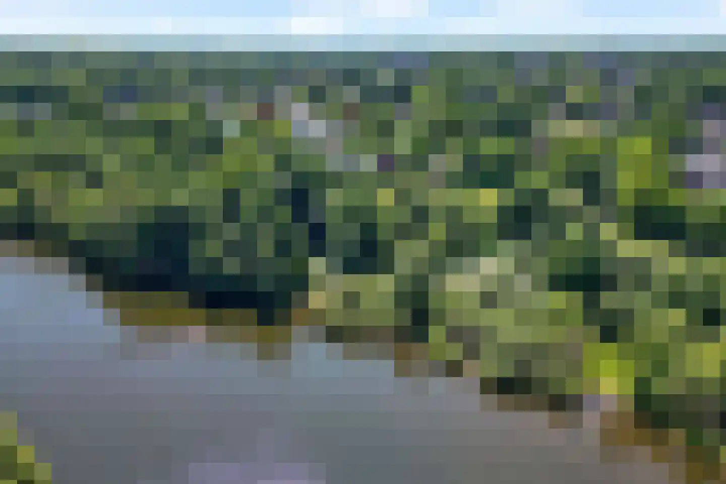 Laan van het Kwekebos 356 Emmen thumbnail 5