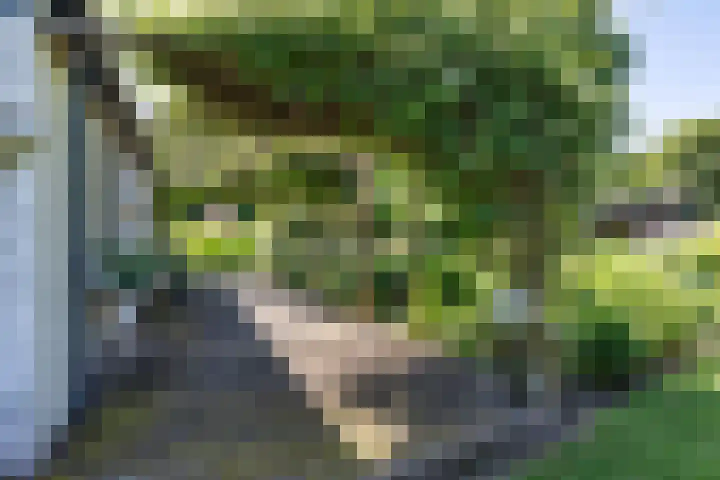 Laan van het Kwekebos 356 Emmen thumbnail 53