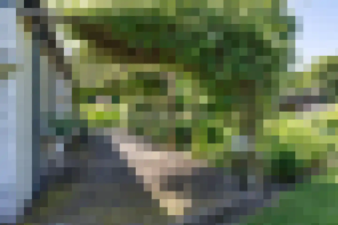 Laan van het Kwekebos 356 Emmen thumbnail 53