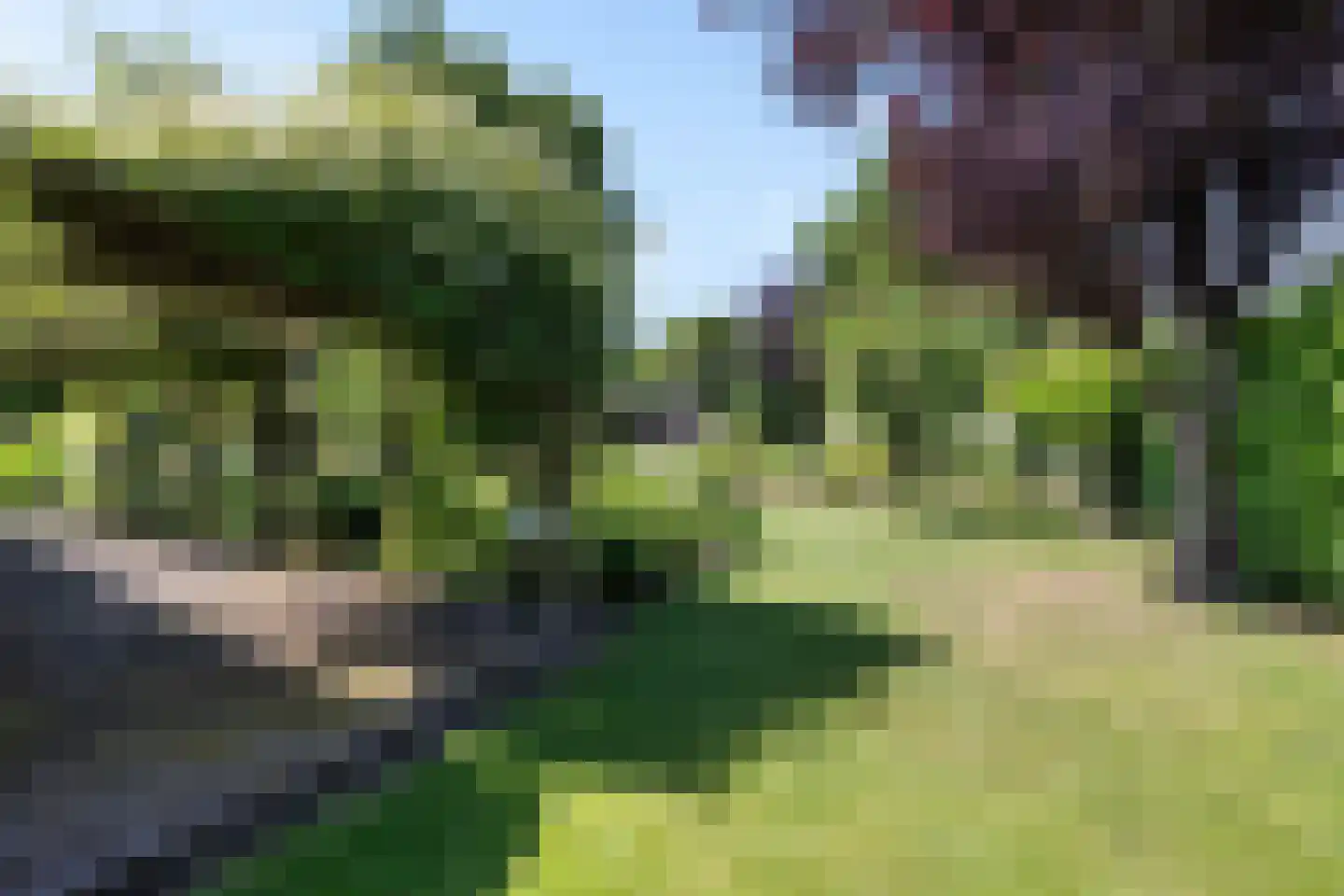 Laan van het Kwekebos 356 Emmen thumbnail 54