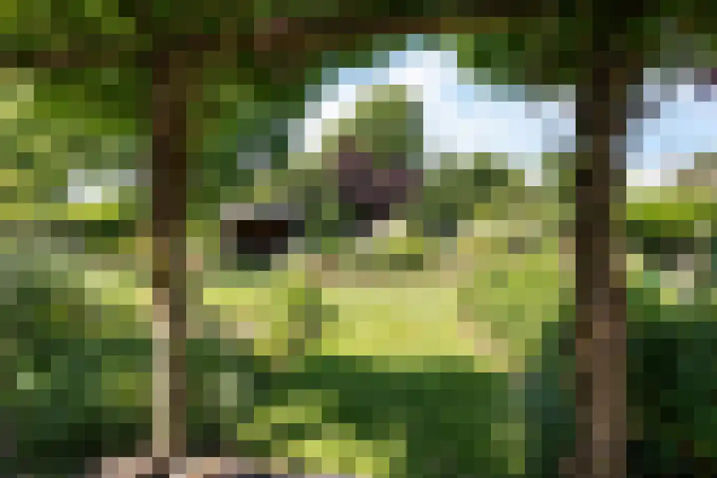 Laan van het Kwekebos 356 Emmen thumbnail 55