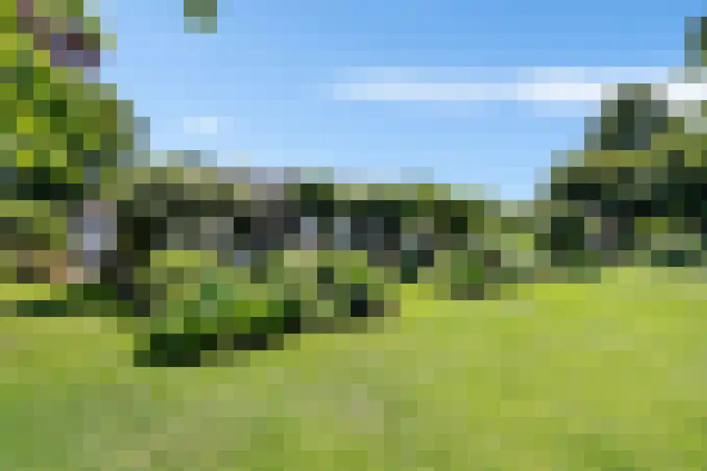 Laan van het Kwekebos 356 Emmen thumbnail 57