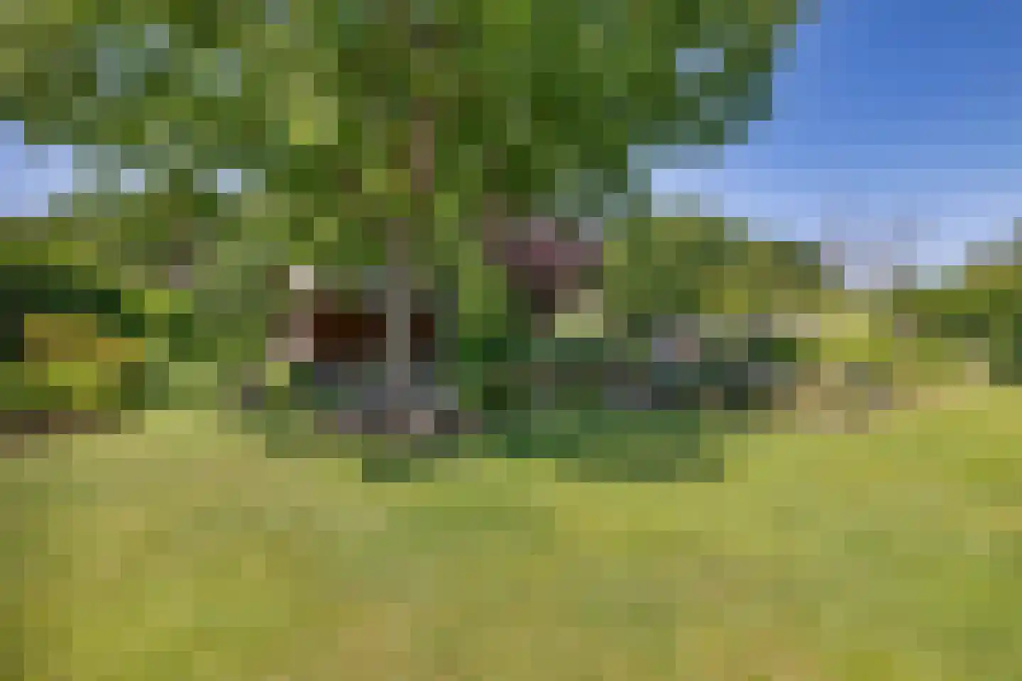 Laan van het Kwekebos 356 Emmen thumbnail 58