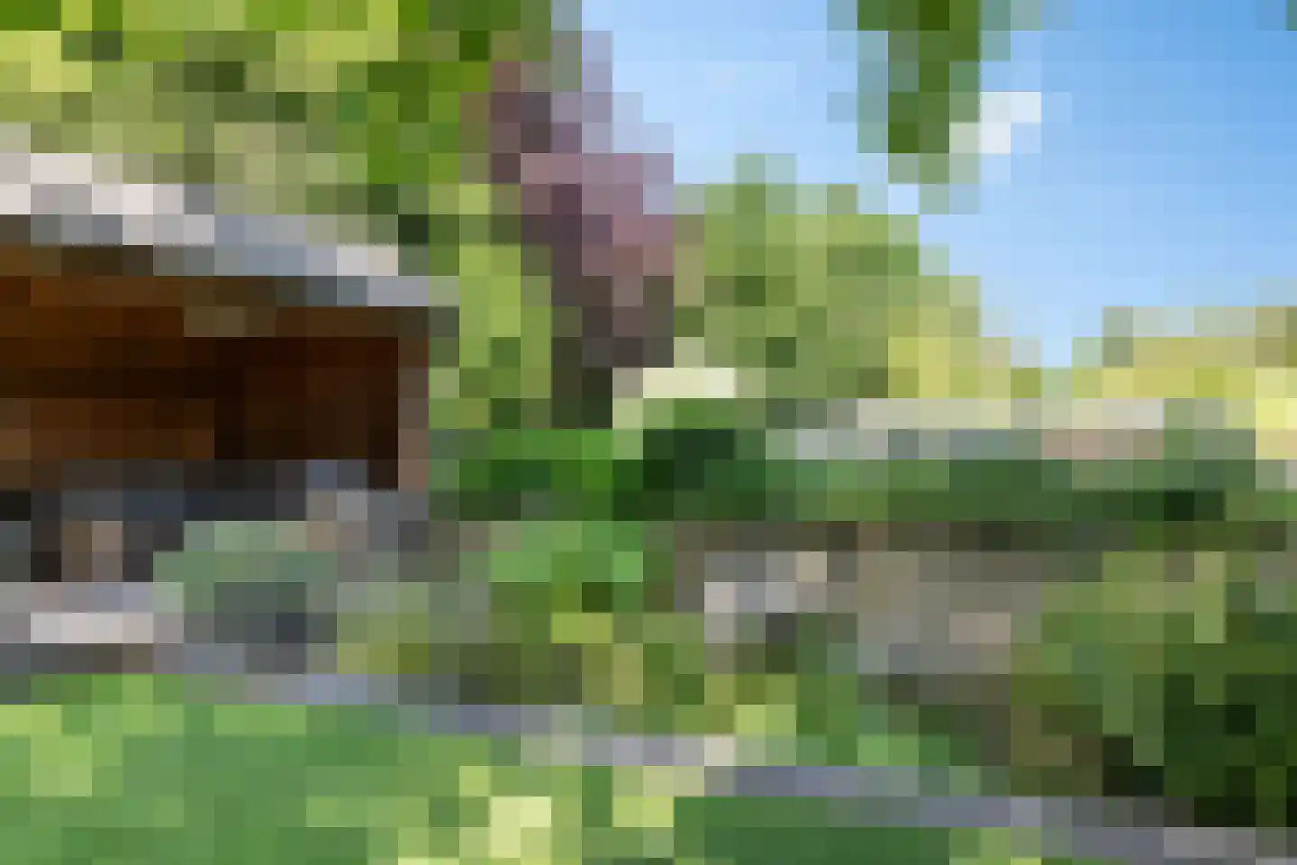 Laan van het Kwekebos 356 Emmen thumbnail 59