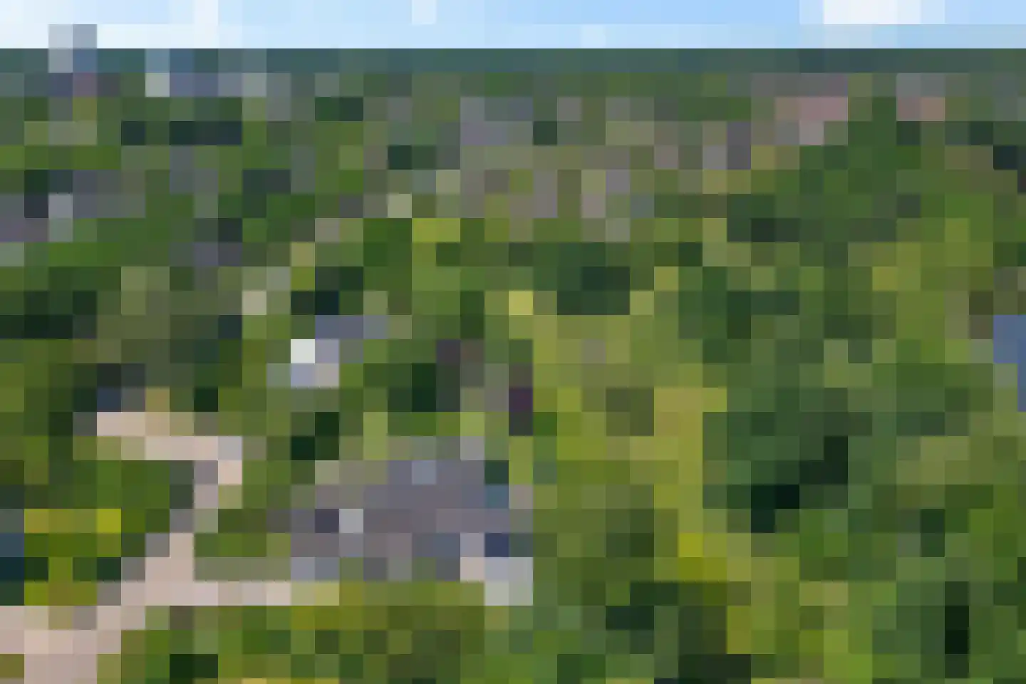 Laan van het Kwekebos 356 Emmen thumbnail 6