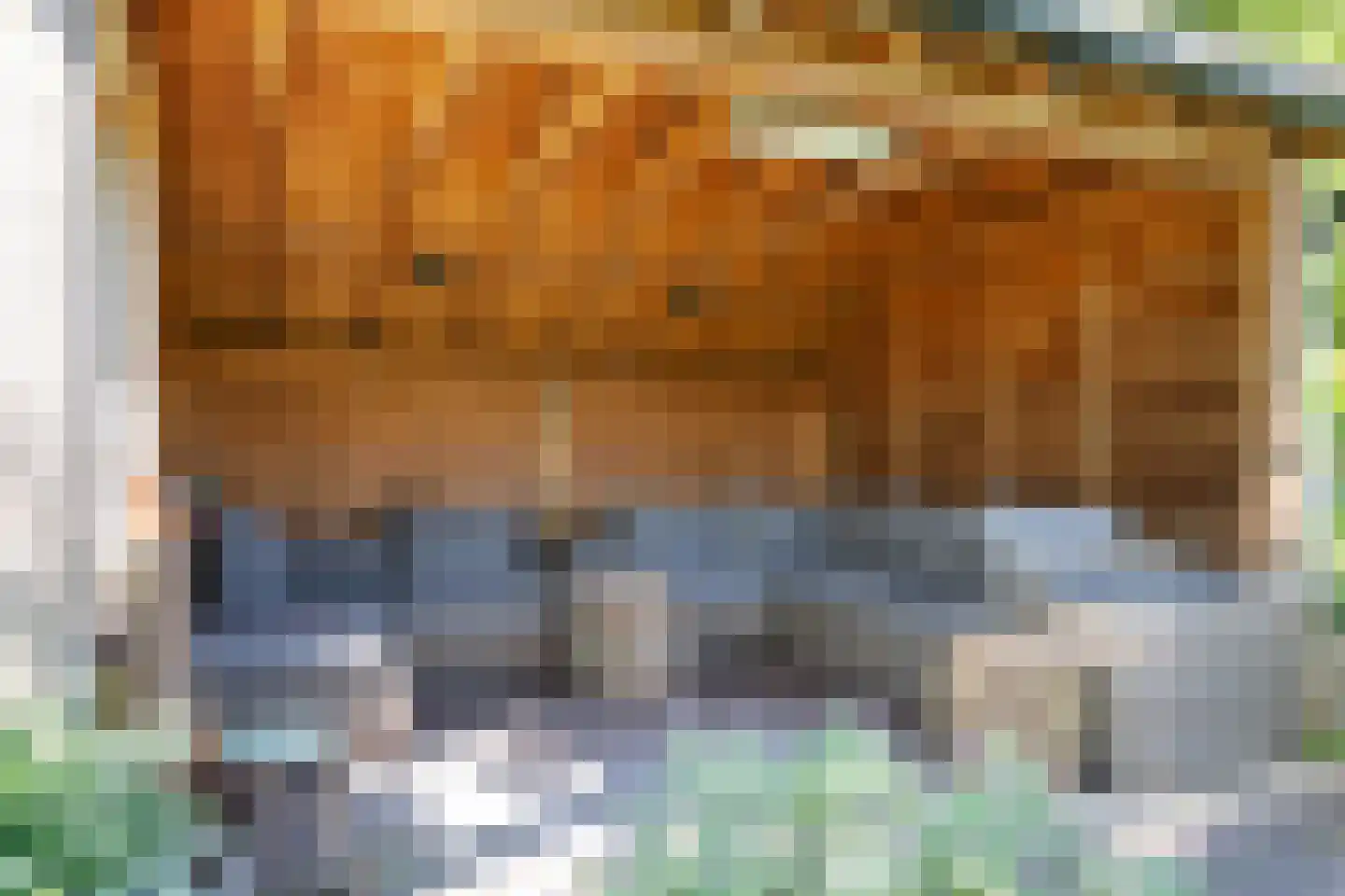 Laan van het Kwekebos 356 Emmen thumbnail 60