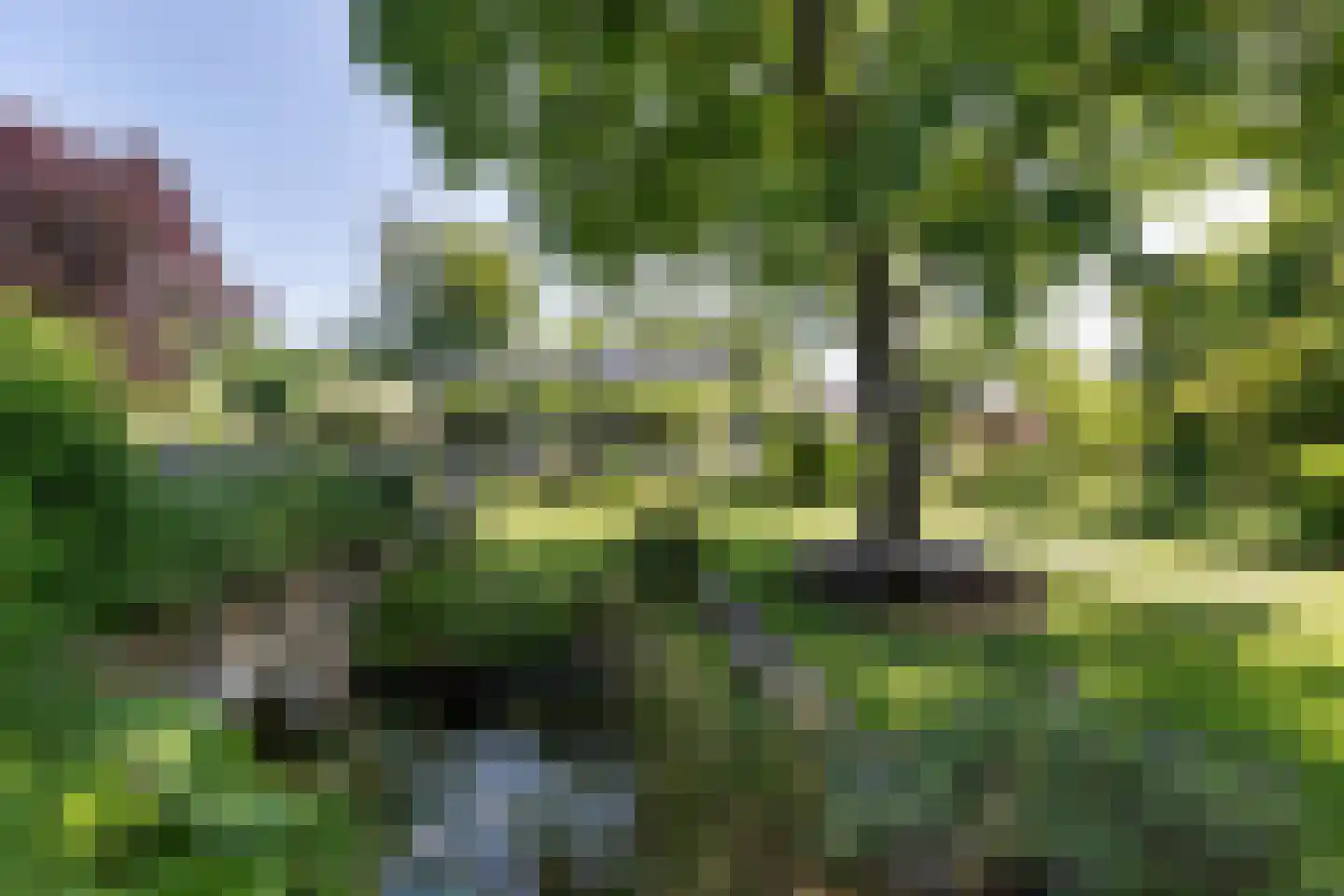 Laan van het Kwekebos 356 Emmen thumbnail 61