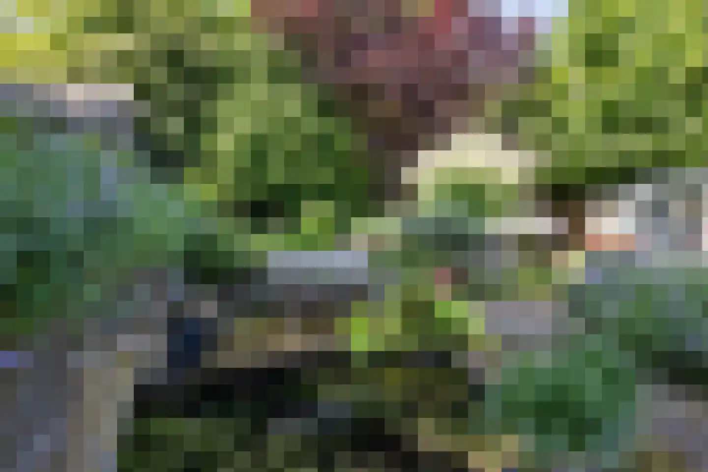 Laan van het Kwekebos 356 Emmen thumbnail 62