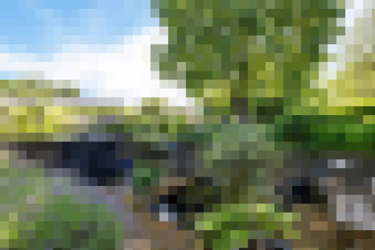 Laan van het Kwekebos 356 Emmen thumbnail 64