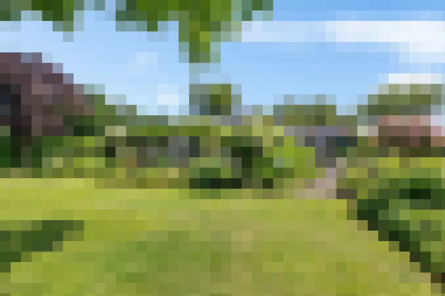 Laan van het Kwekebos 356 Emmen thumbnail 65