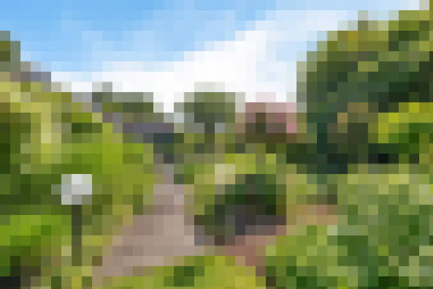 Laan van het Kwekebos 356 Emmen thumbnail 66