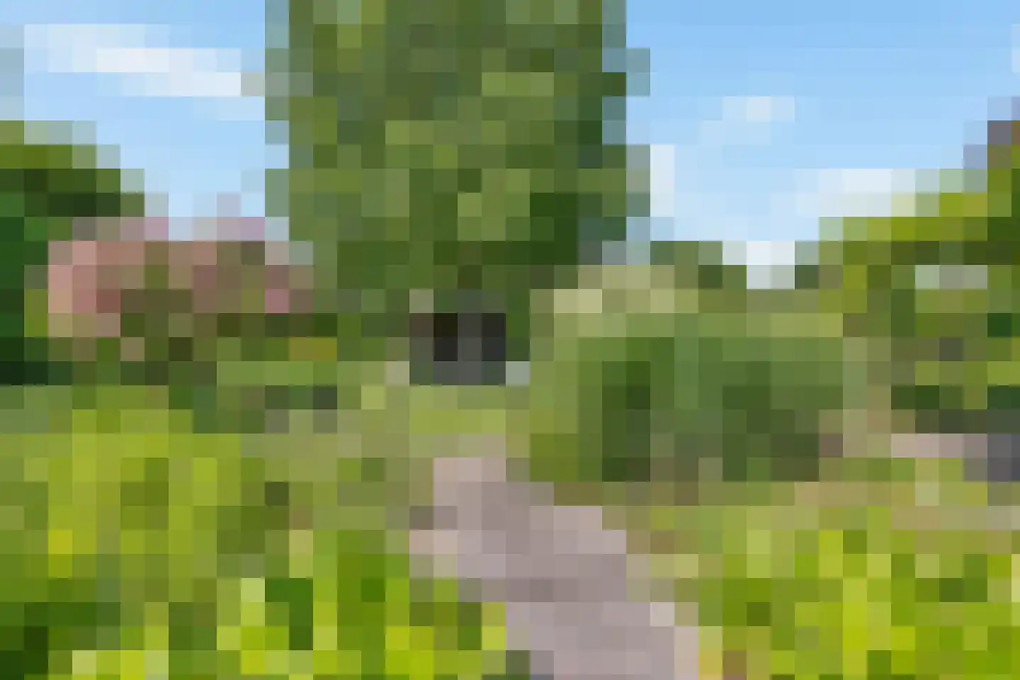 Laan van het Kwekebos 356 Emmen thumbnail 68