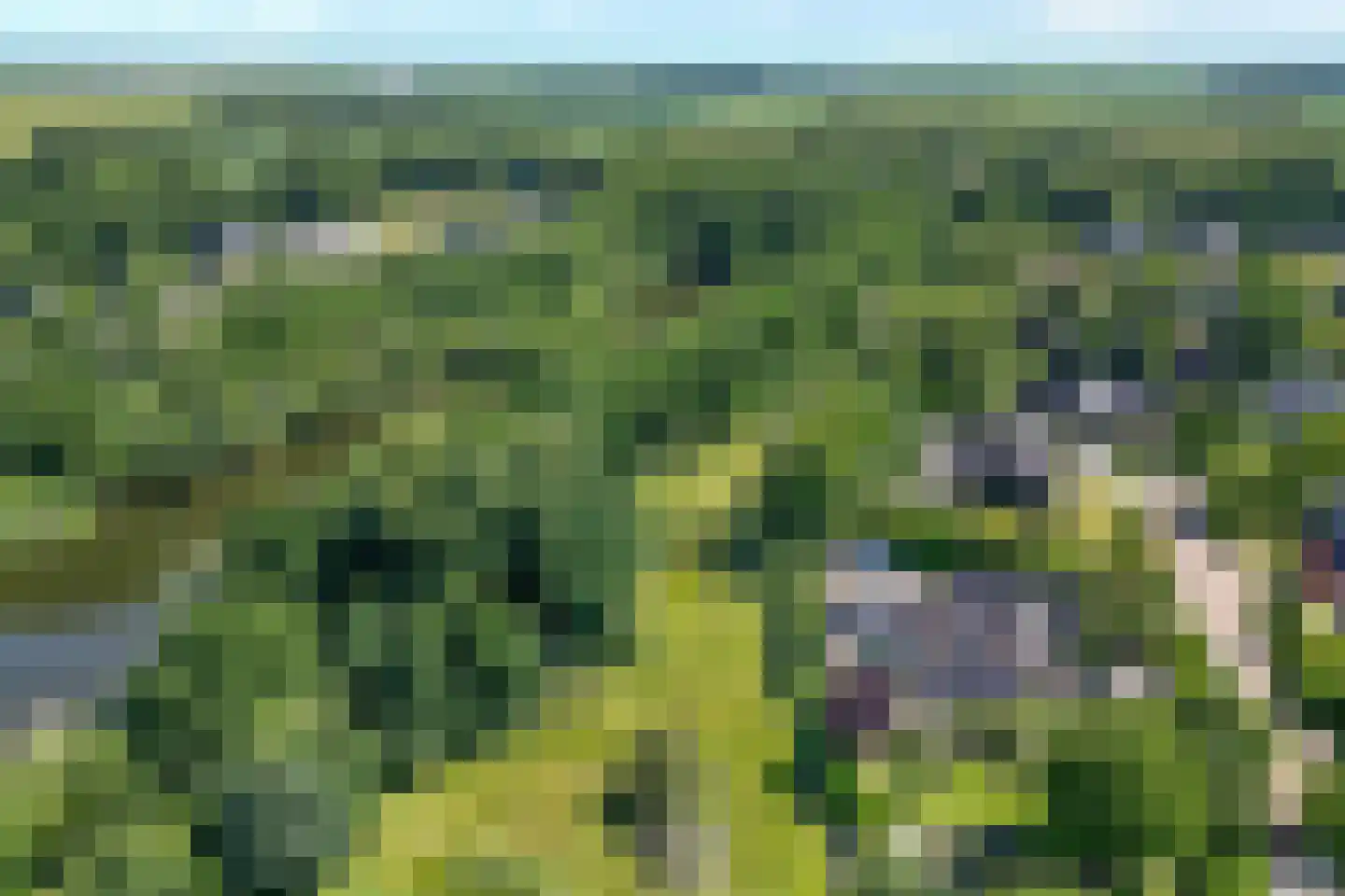 Laan van het Kwekebos 356 Emmen thumbnail 7